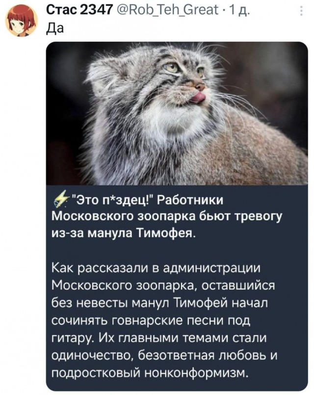 Про Тимоху