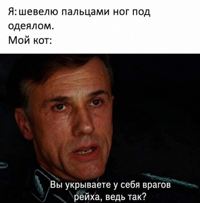 Картинки для деградации 233 (разной степени свежести)