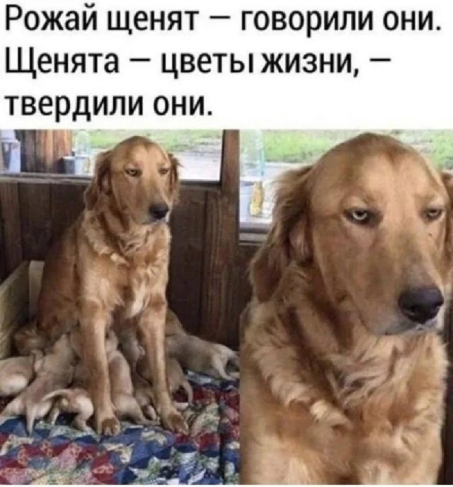 Так себе картинки 11.07.26