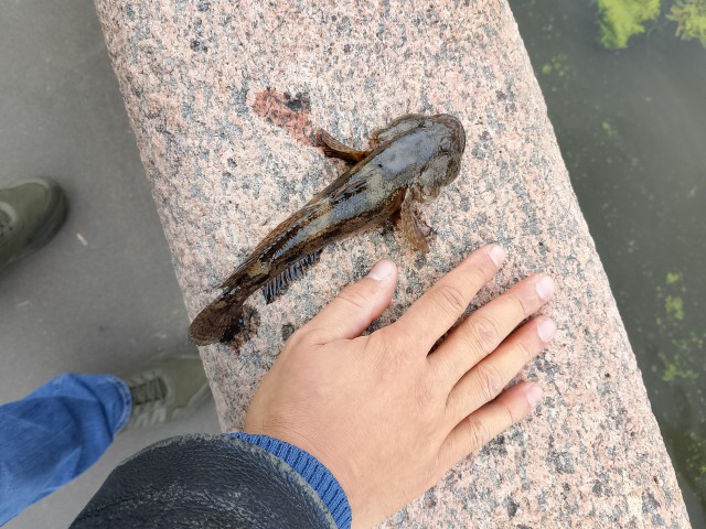 Рыбалка в пятницу