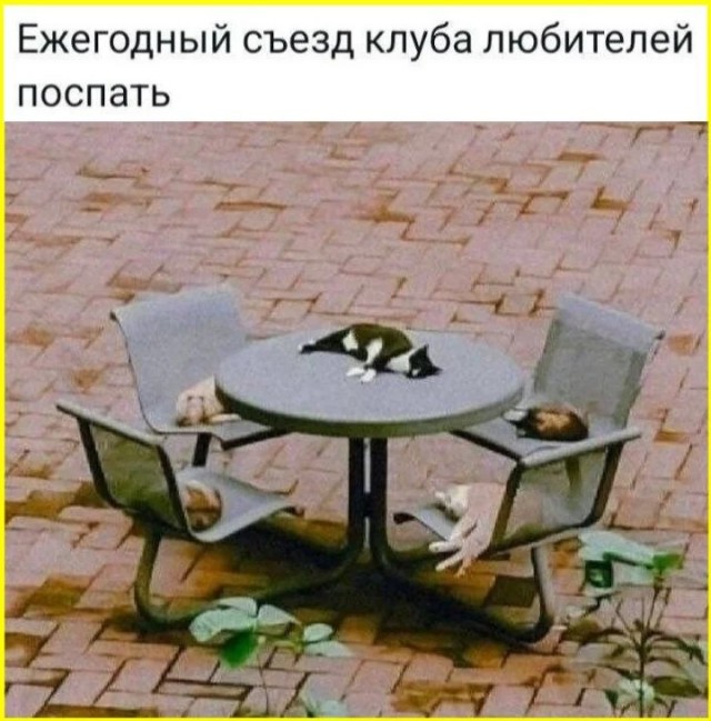 Веселое настроение в картинках 18.08.26