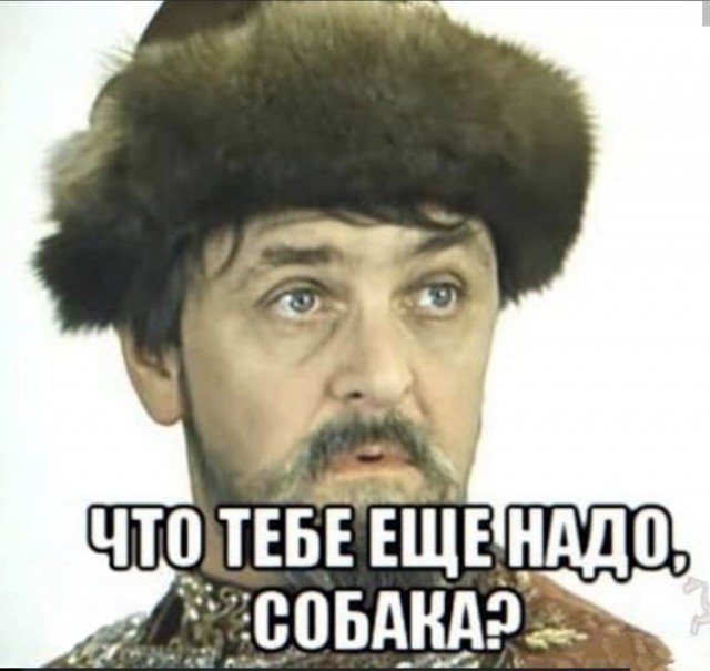 Завтра 53