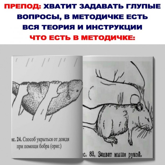 Картинки для деградации 286 (разной степени свежести)
