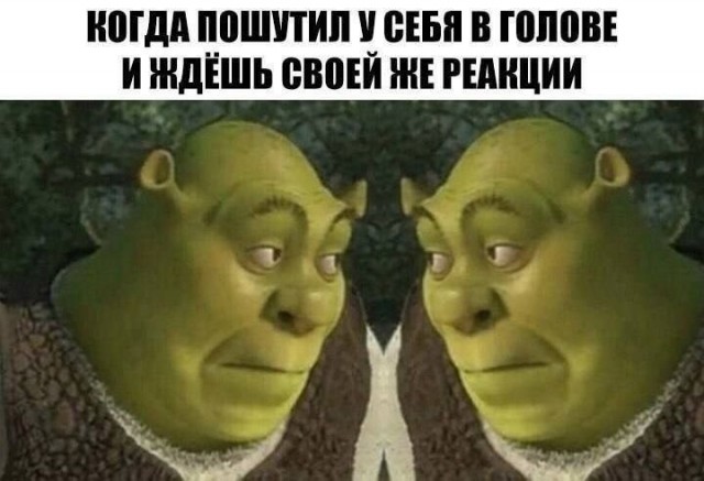 Картинки для деградации 307 (разной степени свежести)