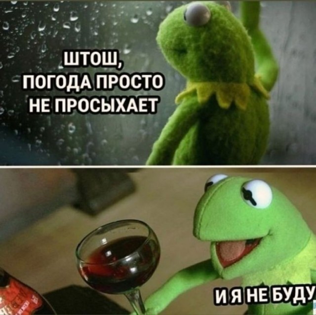 Веселые картинки в пятницу (30.10)
