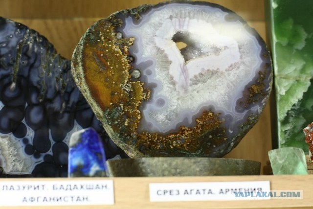 Музей шедевров природы