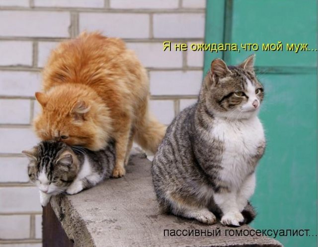 Не ожидала...