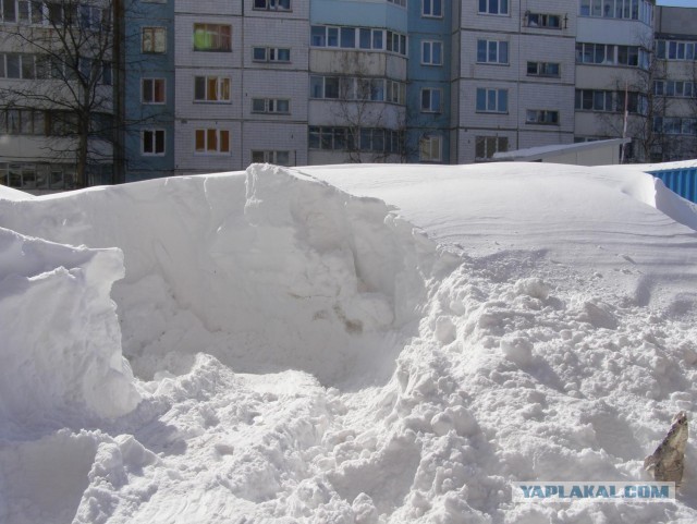 Весна на Сахалине!