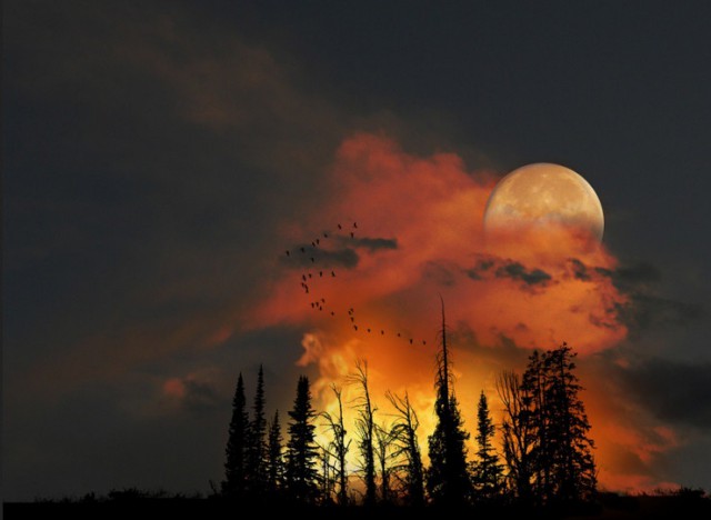 28 самых удачных кадров февраля