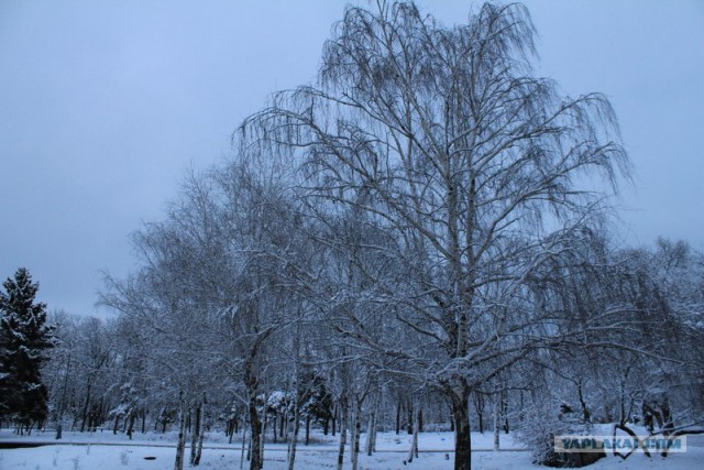 Одесская зима моими глазами…