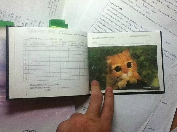 Как разжалобить препода