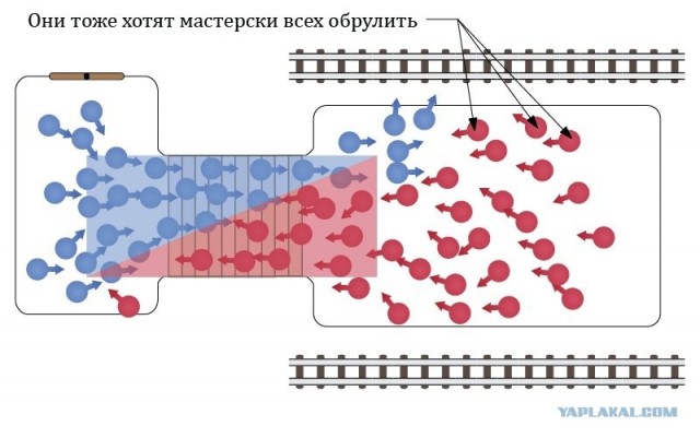 Если вы такие умные, то чего же вы строем не ходит