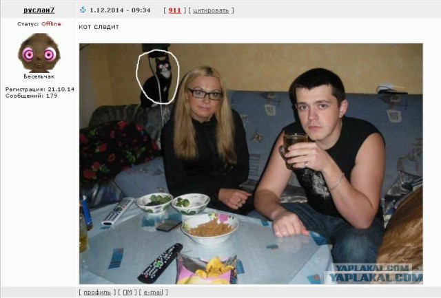 Веселые картинки