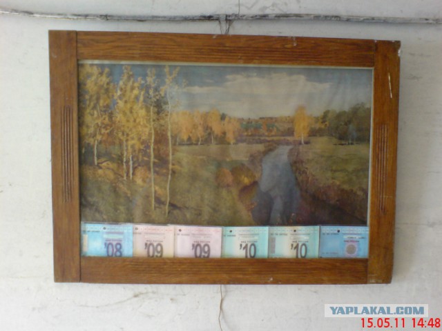 Казусы жизни