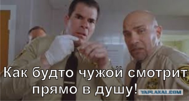 Если есть кошачье ню, то оно выглядит вот так...