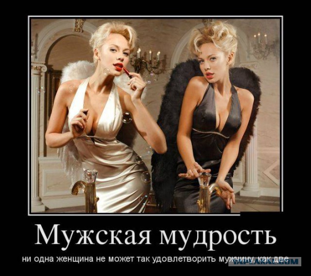 Весёлости в картинках
