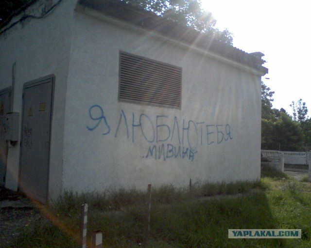 Веселые картинки