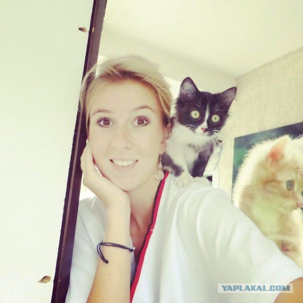 17 животных, которые по-настоящему благодарны ветеринарам