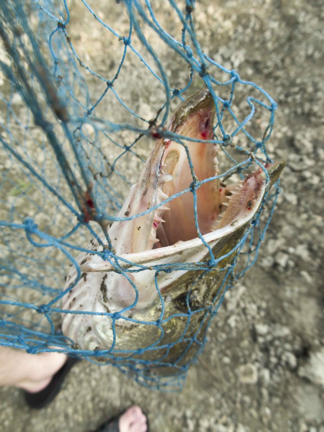 Мир в миллиметре