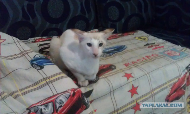 Те, которым мы помогли.
