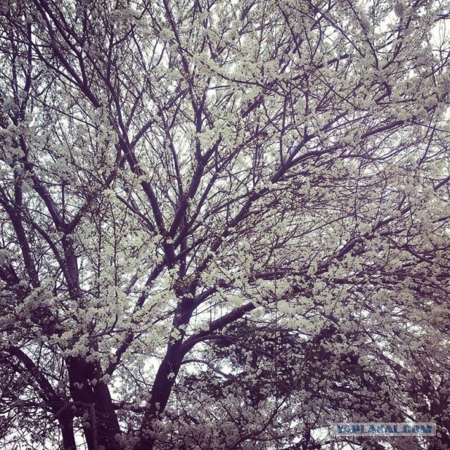 Украина, Донбасс, Крым, Россия. Подготовка