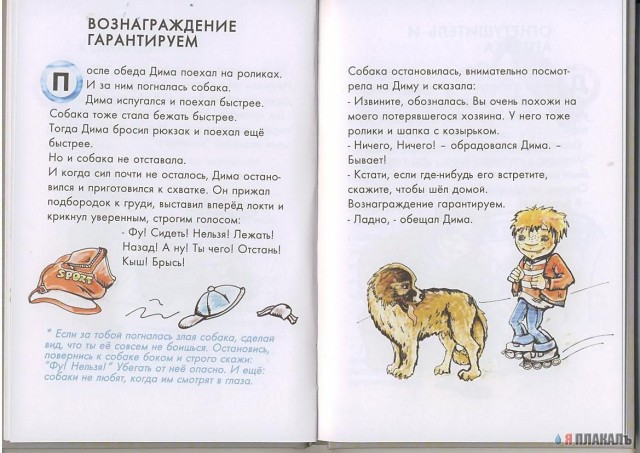 Книжка от растокино ЛАДА (23 фото)