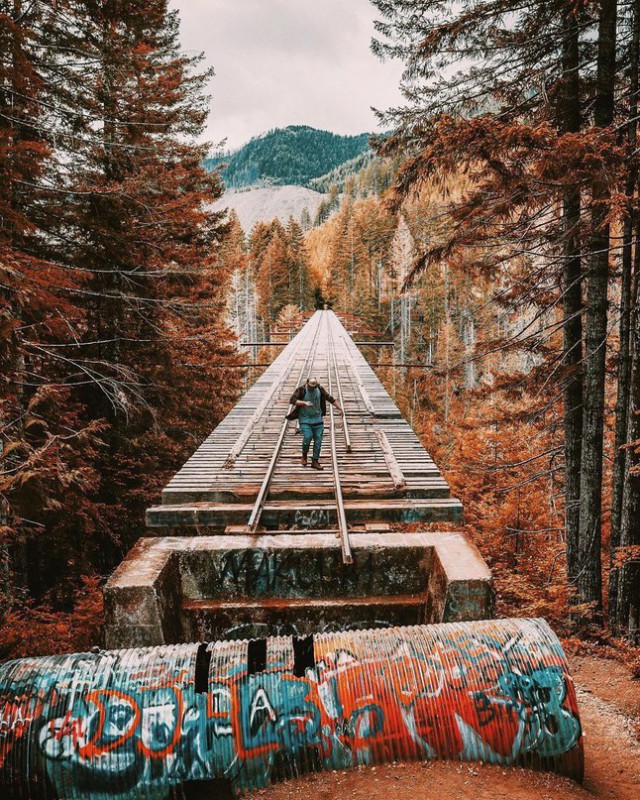 Картинки всякие