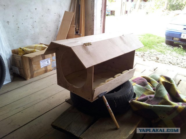 Домик для кота