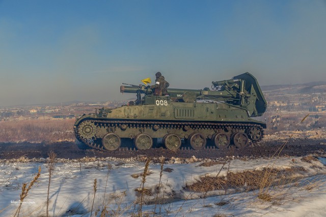 "Тюльпаны" на снегу