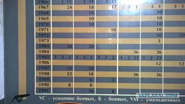 Каникулы во Владивостоке