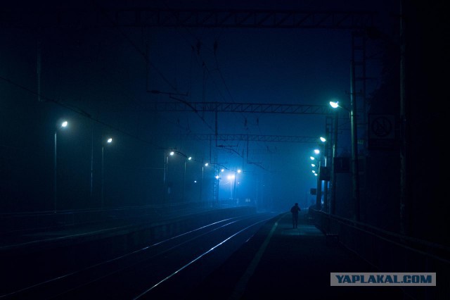 Долгопрудный (фото)