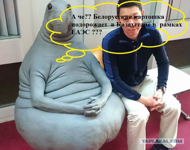Митинг в Беларусии