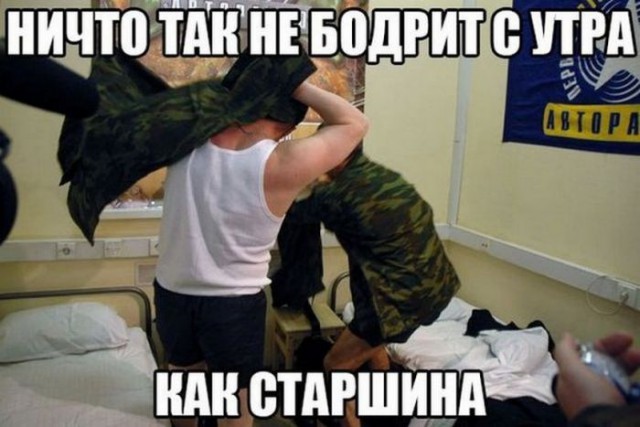 Подборка безудержного веселья