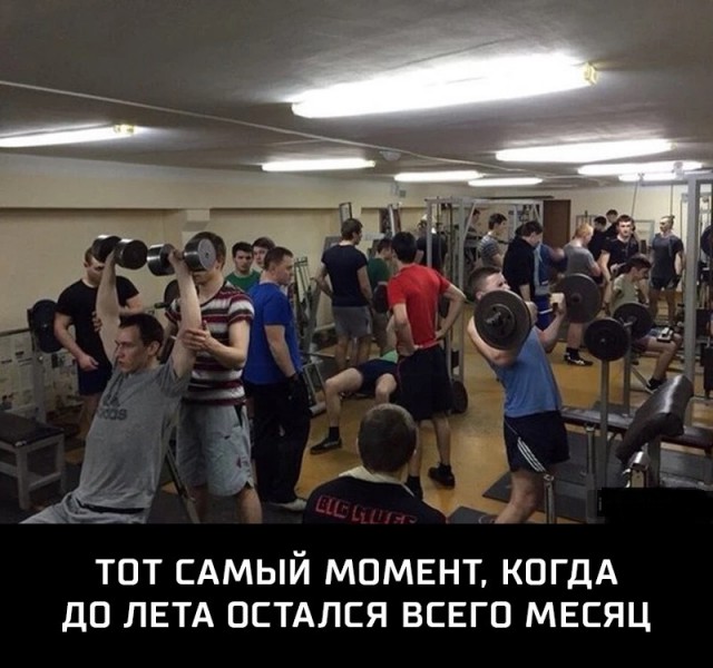 Картинки для поднятия настроения