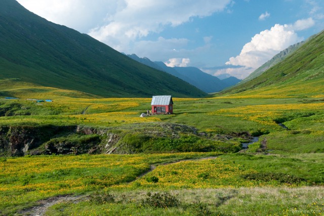Вернулся из Сочи