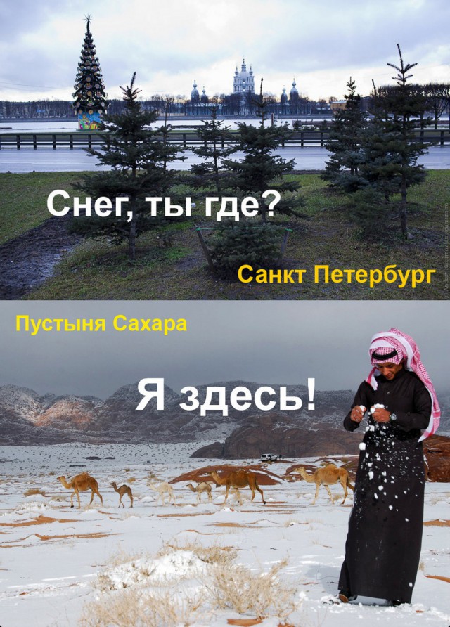 Подборка интересных и веселых картинок
