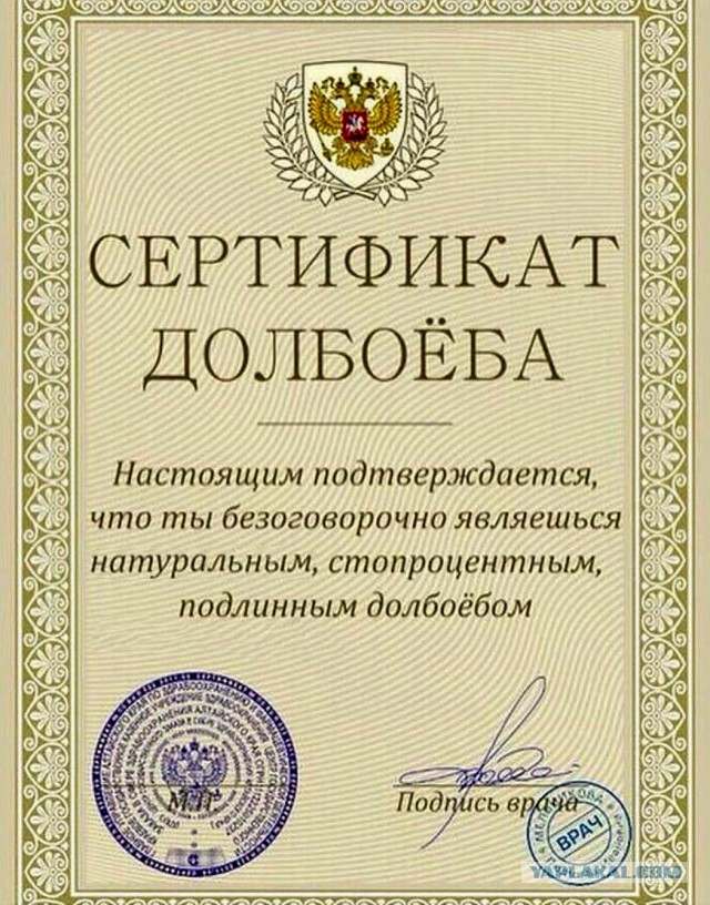 Эпичное видео, на котором количество идиотов зашкаливает