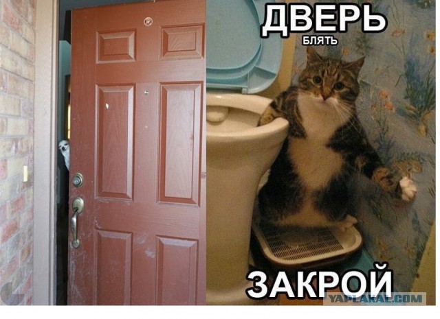 Источник сообщил об утечке воздуха на МКС