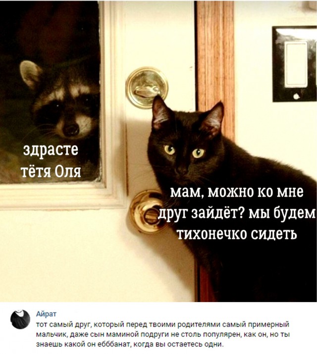 Нестандартный юмор