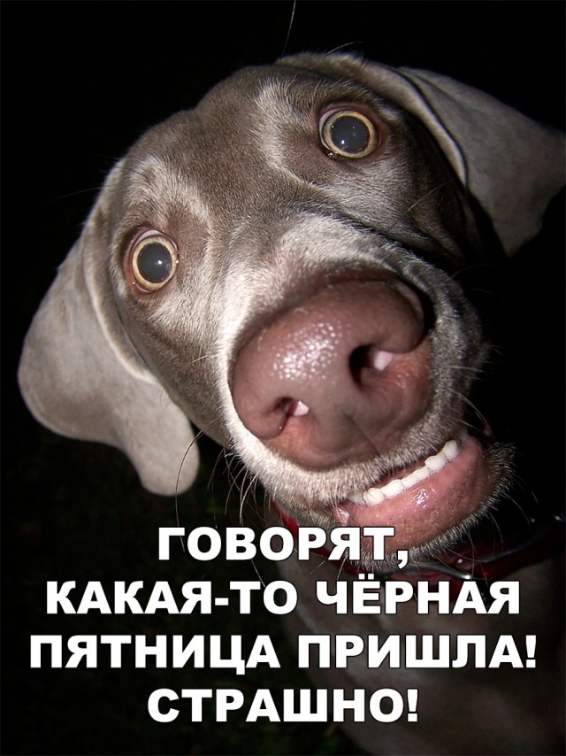 Нестандартный юмор