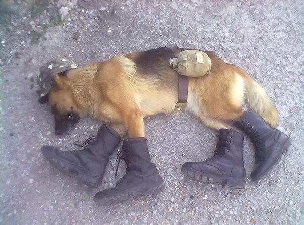 Дембель на отдыхе