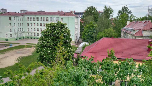 Лето, делимся видом из окна