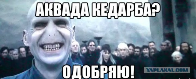 В России запретили говорить о росте цен на бензин