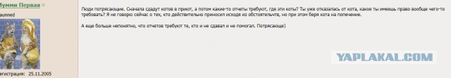 Помогите вернуть кота! Приют "Преданное сердце" украл кота и не отдает!-2