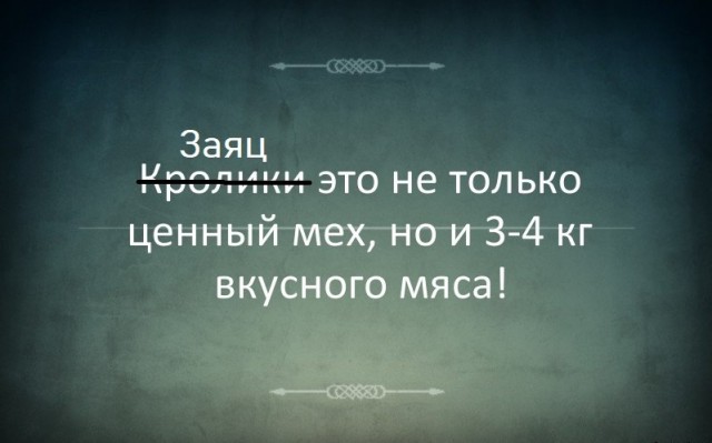 Ловля зайца вручную