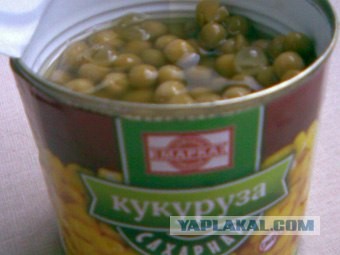Кукуруза сахарная