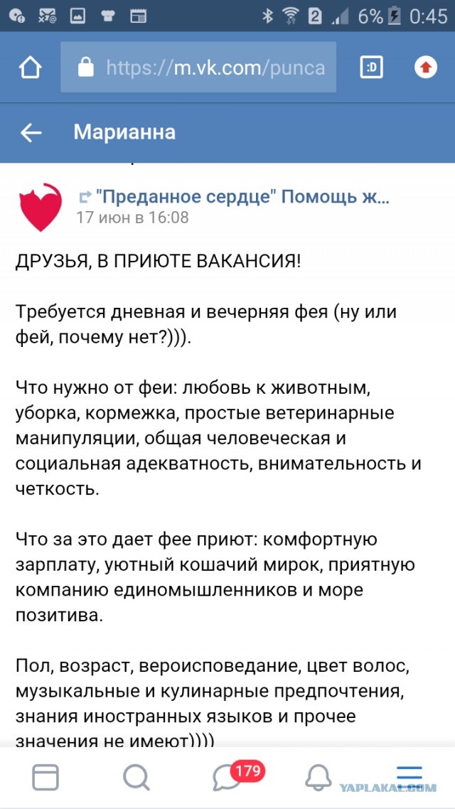 Помогите вернуть кота! Приют "Преданное сердце" украл кота и не отдает!-2