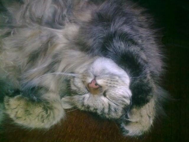 Почему хороших девочек не зовут замуж?