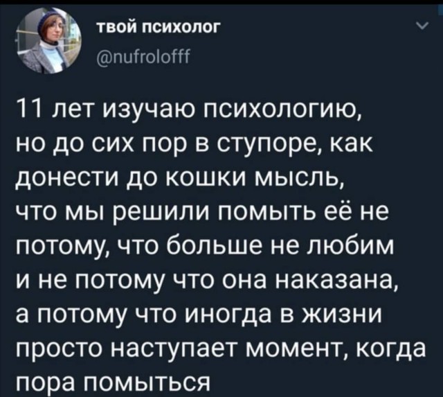 Чуток картинок. Субботний выпуск
