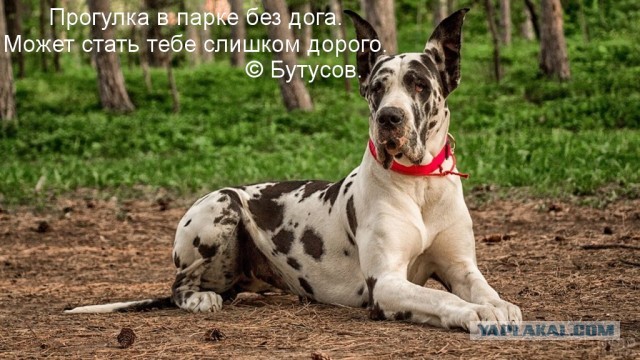Удивительные снимки с российских просторов 12.04.20